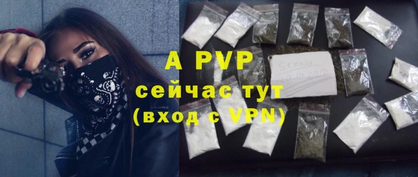apvp Магас